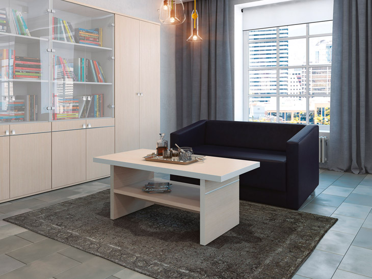 Зум (Zoom) ZOOM_19.jpg